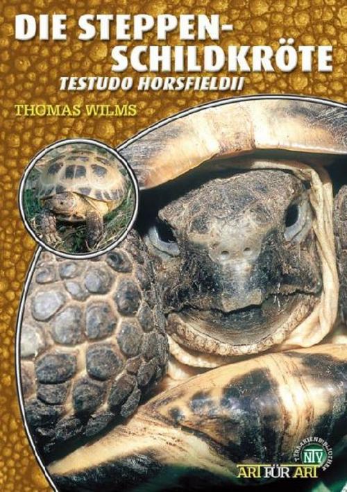 Buchcover: Steppenschildkröte