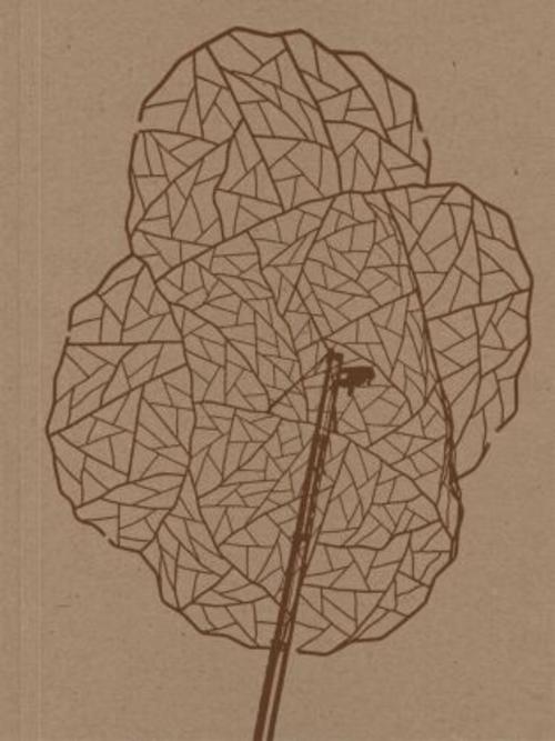 Alois Schild