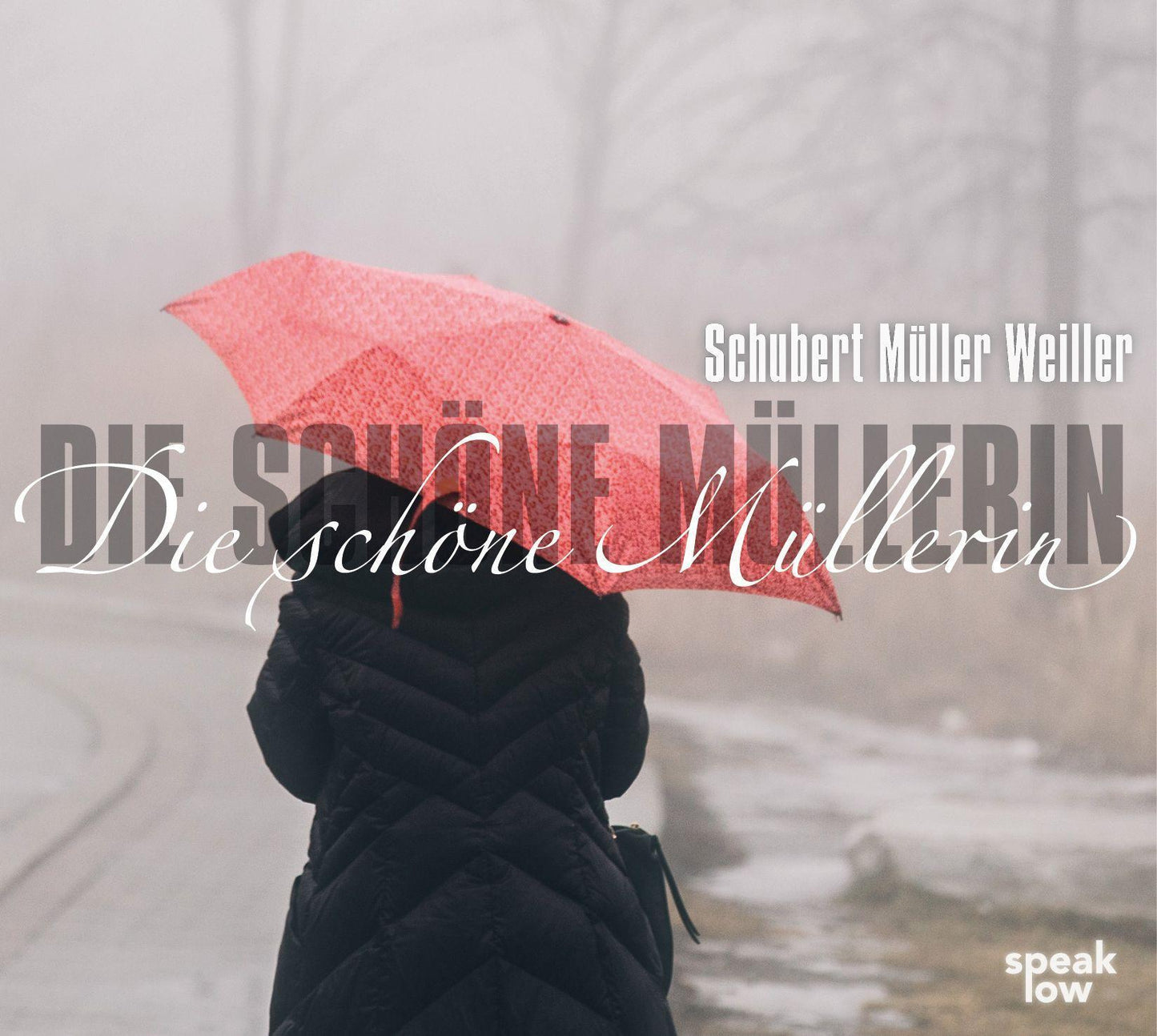 Die schöne Müllerin,Audio-CD