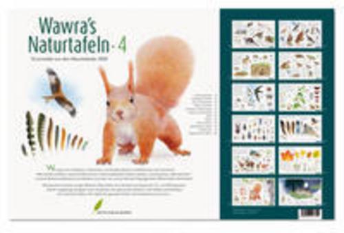 Buchcover: Wawra's Naturtafeln 4