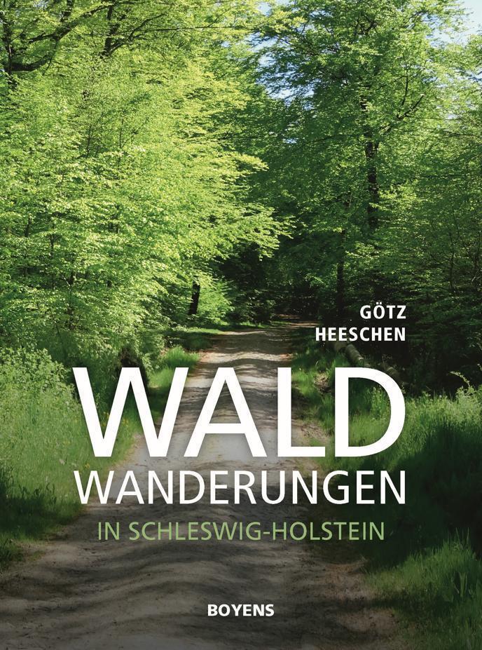 Waldwanderungen in Schleswig-Holstein