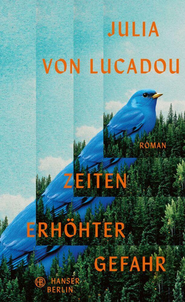 Zeiten erhöhter Gefahr: Roman