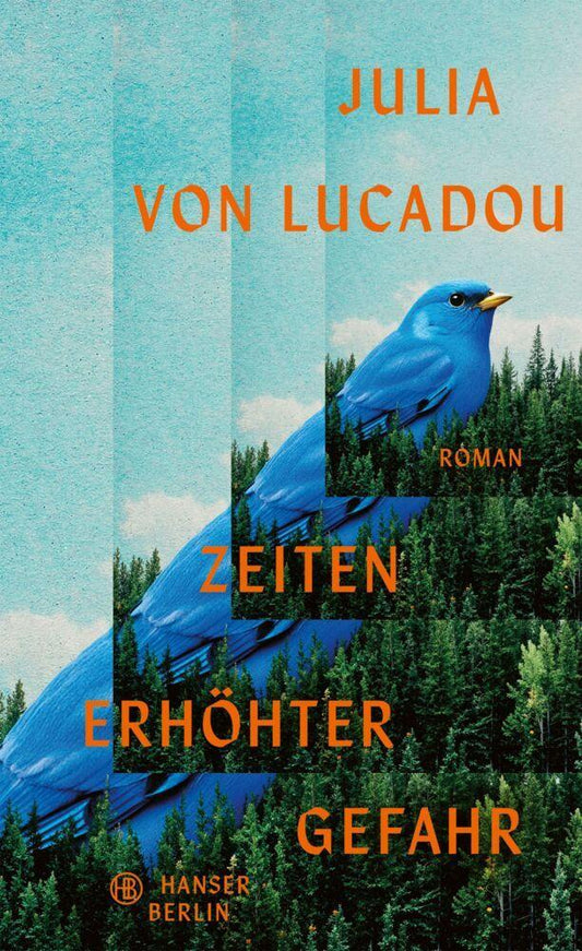 Zeiten erhöhter Gefahr: Roman