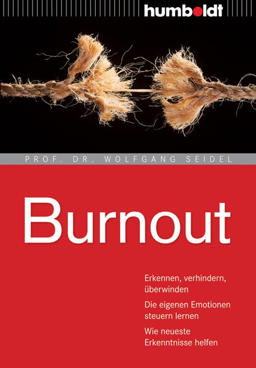 Buchcover: Burnout