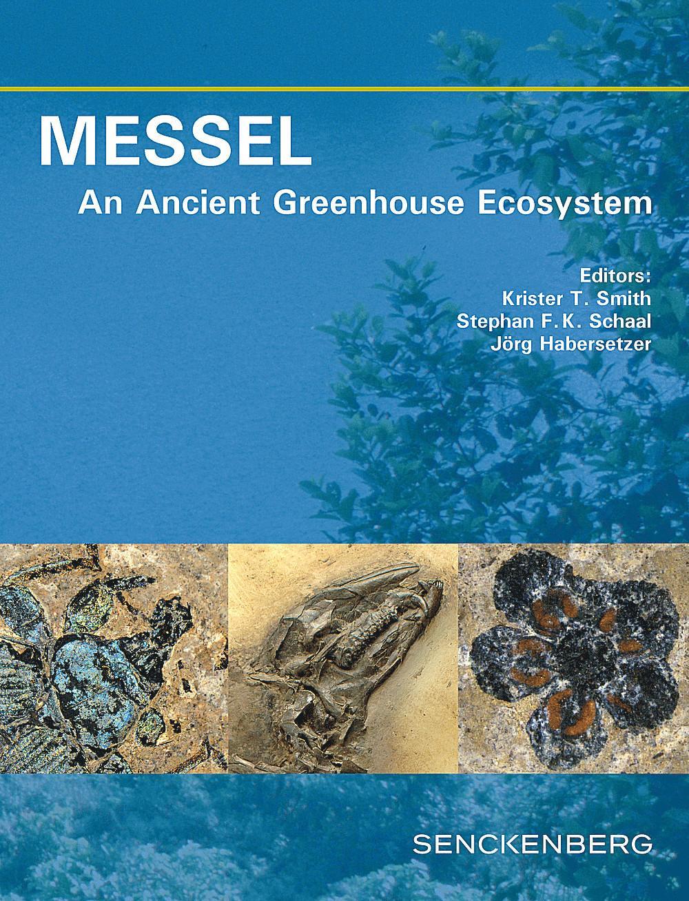 Buchcover: MESSEL - An Ancient Greenhouse Ecosystem