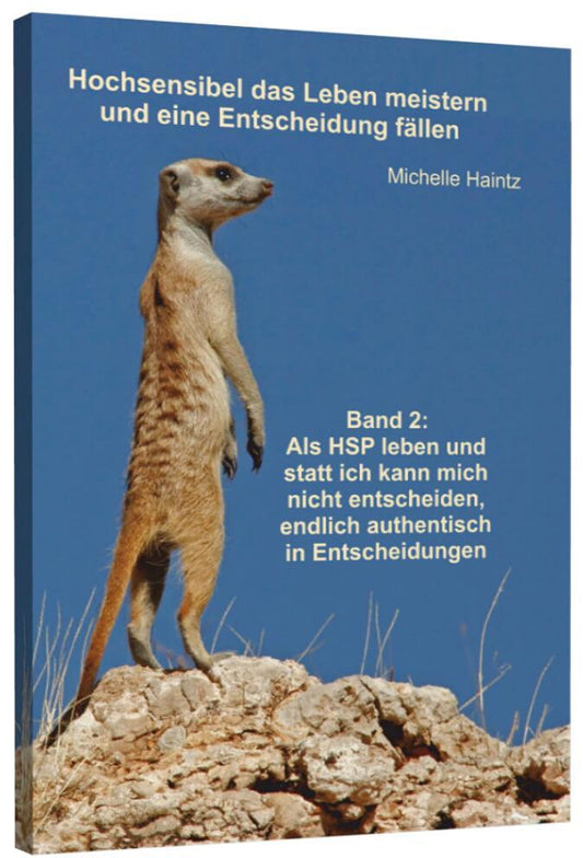 Buchcover: Hochsensibel das Leben meistern und eine Entscheidung fällen