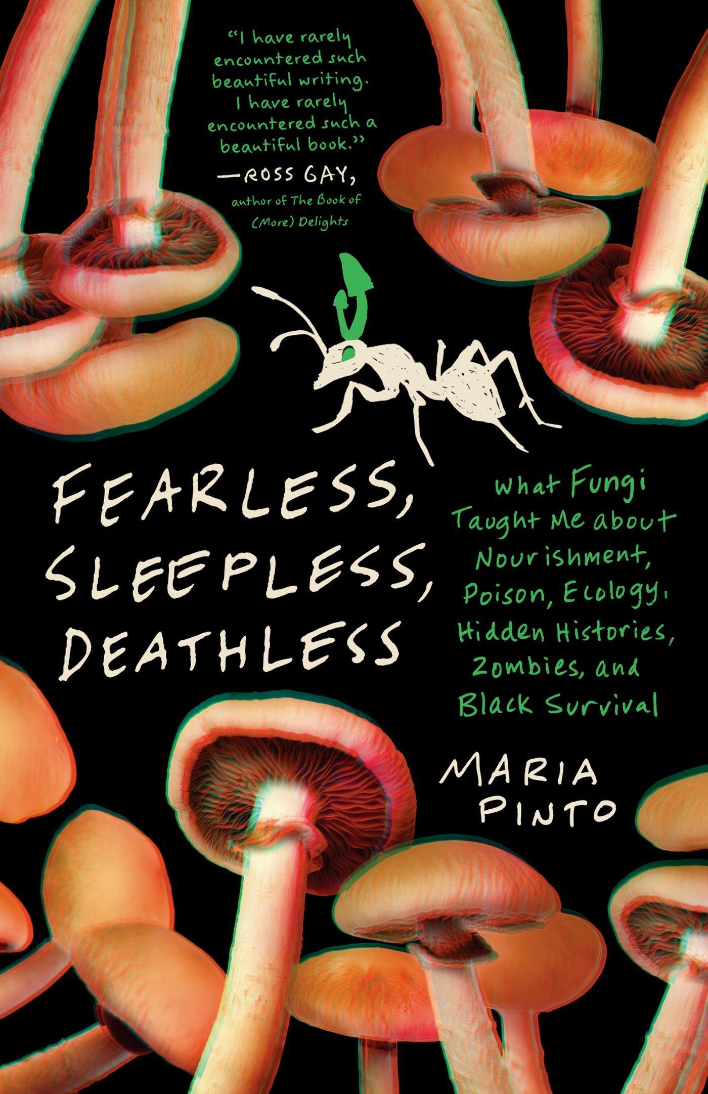 Fearless, Sleepless, Deathless