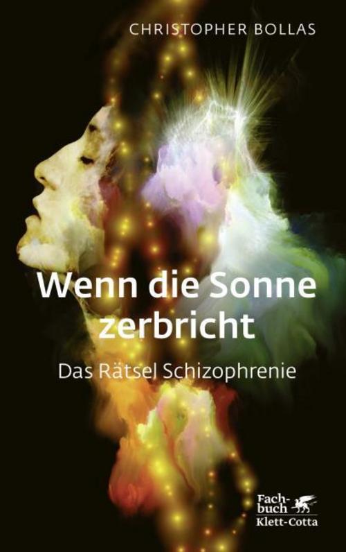Buchcover: Wenn die Sonne zerbricht