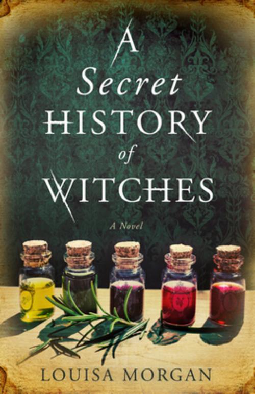 Buchcover: A Secret History of Witches
