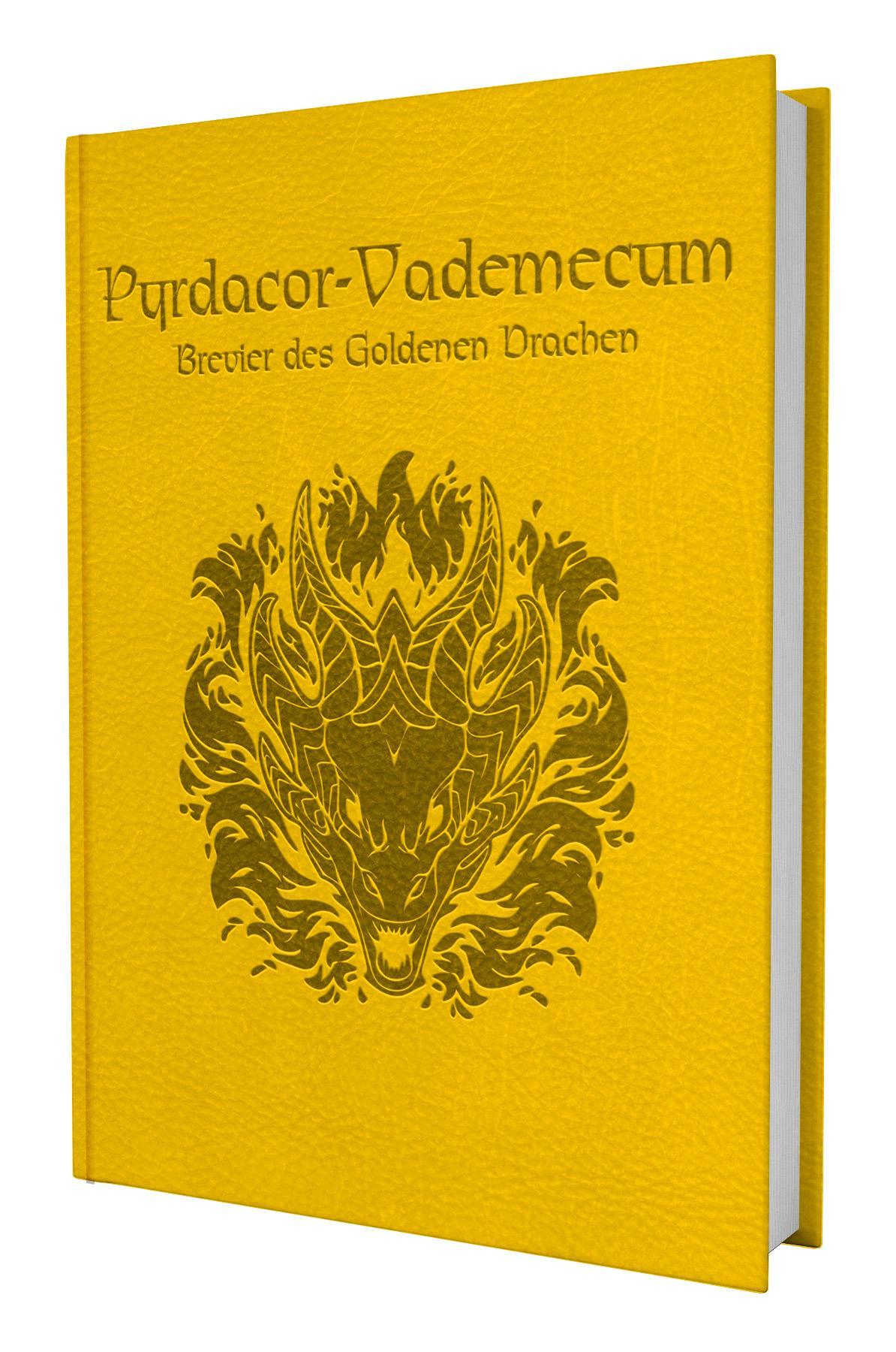 DSA - Pyrdacor-Vademecum
