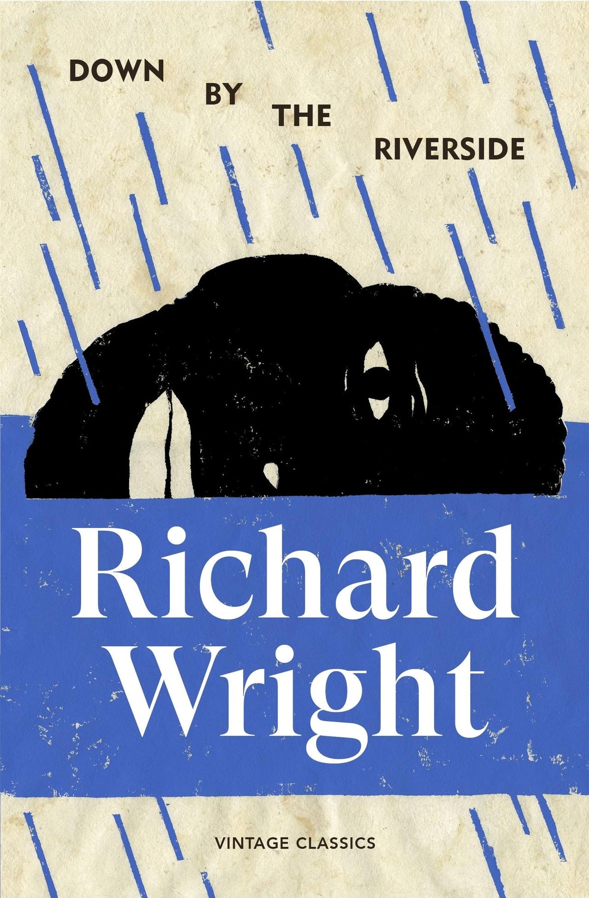 Buchcover: Down by the Riverside