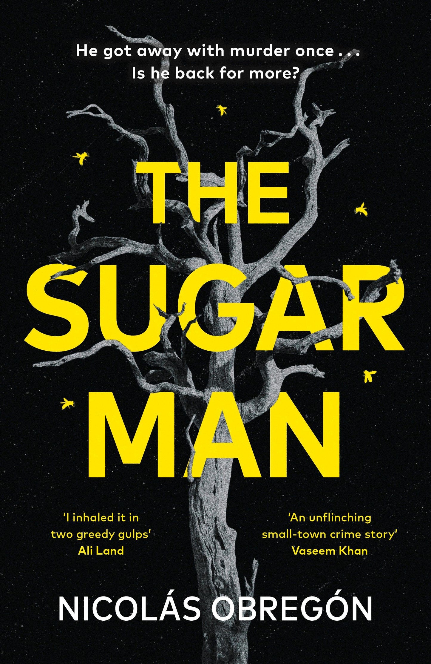 The Sugar Man