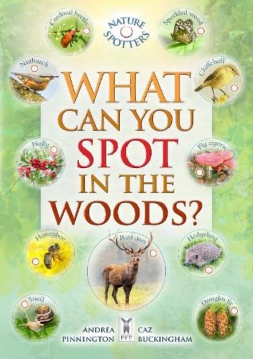 Buchcover: What Can You Spot in the Woods?