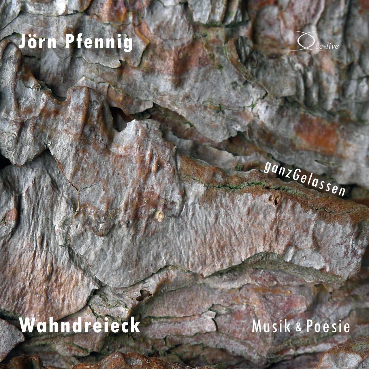 Wahndreieck - Musik & Poesie,2 Audio-CD