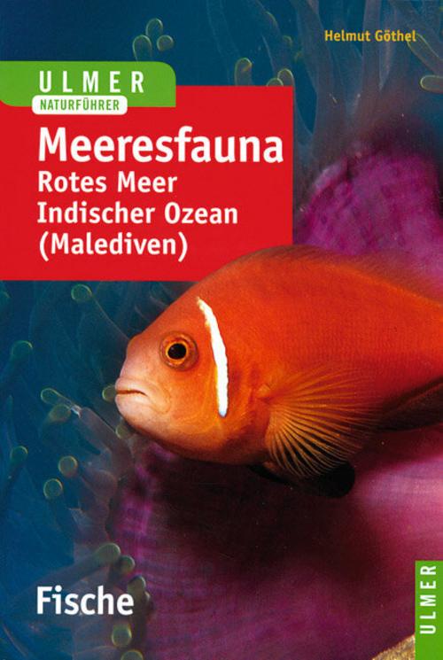 Buchcover: Meeresfauna. Fische