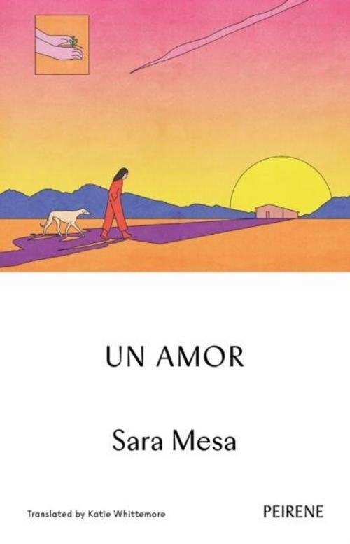 Buchcover: Un Amor