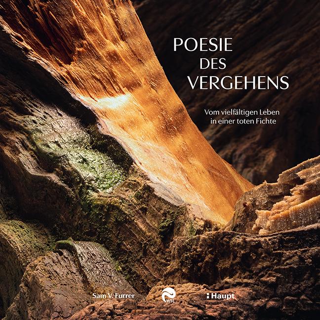 Buchcover: Poesie des Vergehens