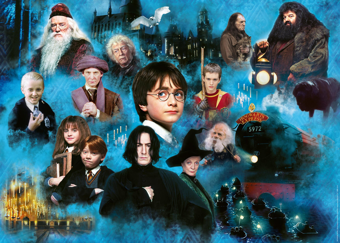 Erwachsenenpuzzle 1000 Teile - Harry Potters magische Welt