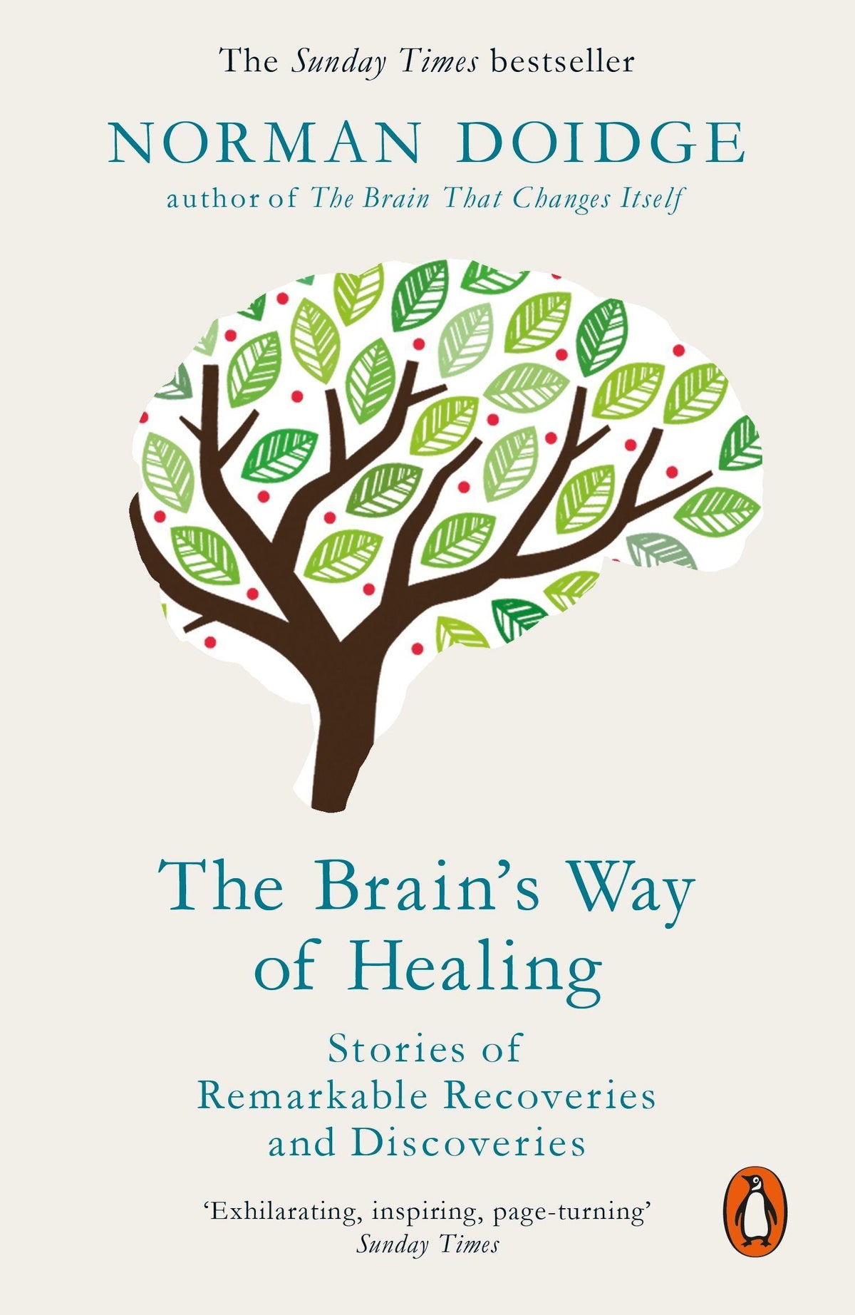 Buchcover: The Brain's Way of Healing