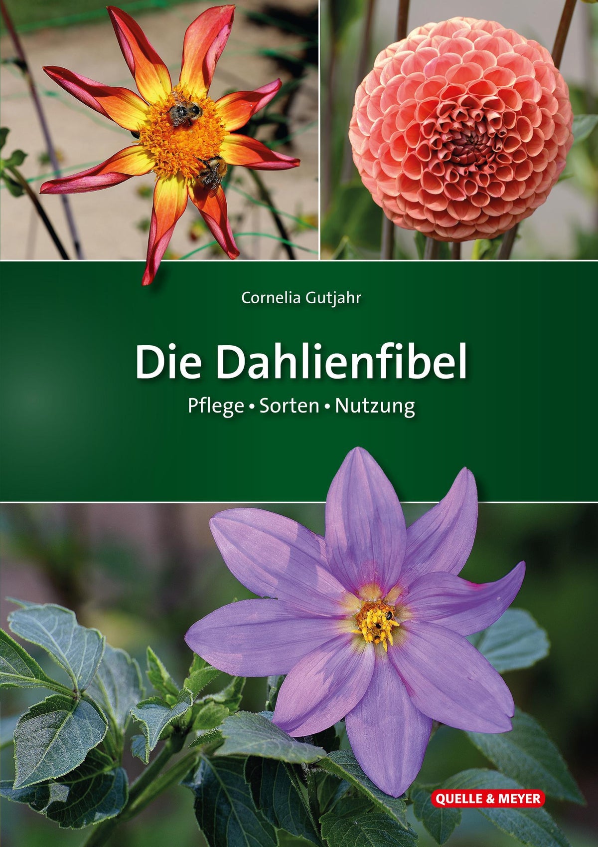Buchcover: Die Dahlienfibel