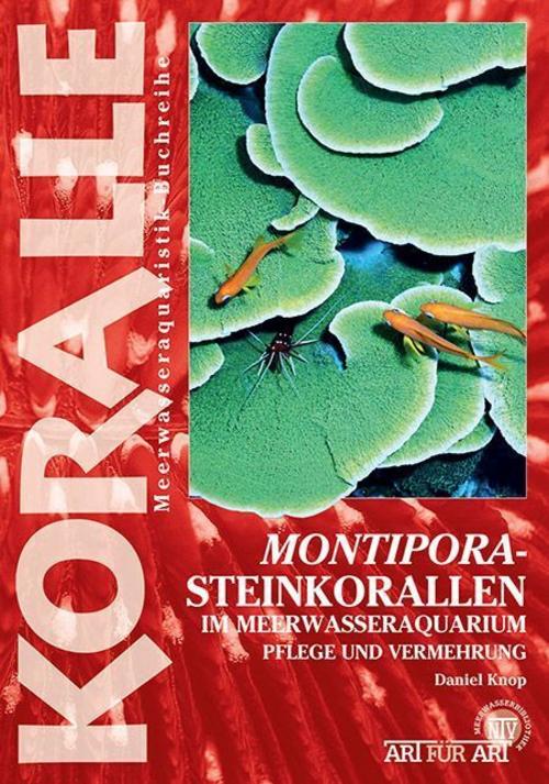 Montipora-Steinkorallen im Meerwasseraquarium