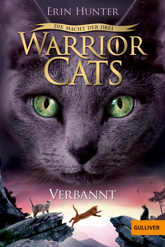 Warrior Cats Staffel 3/03. Die Macht der Drei. Verbannt