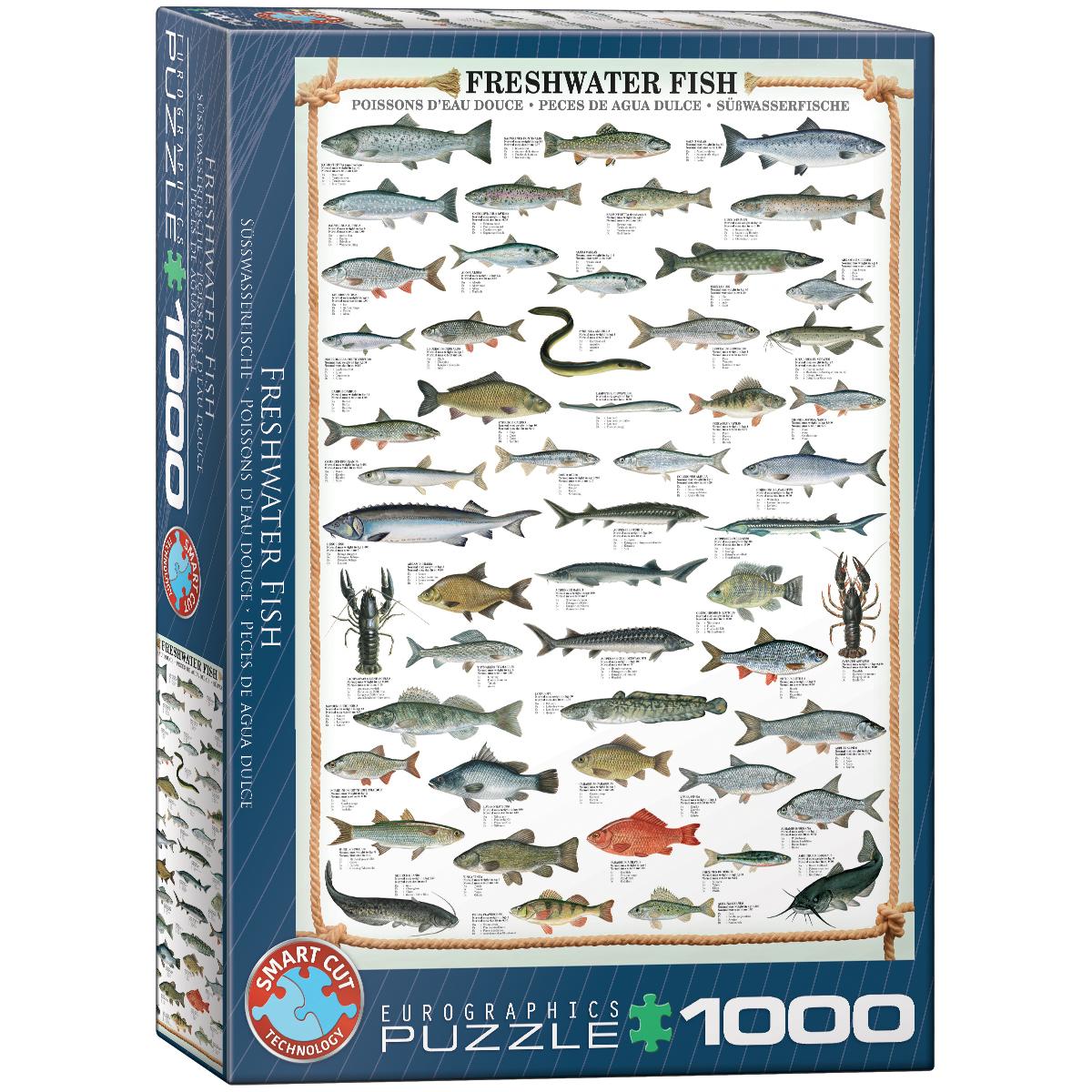 Buchcover: Freshwater Fish