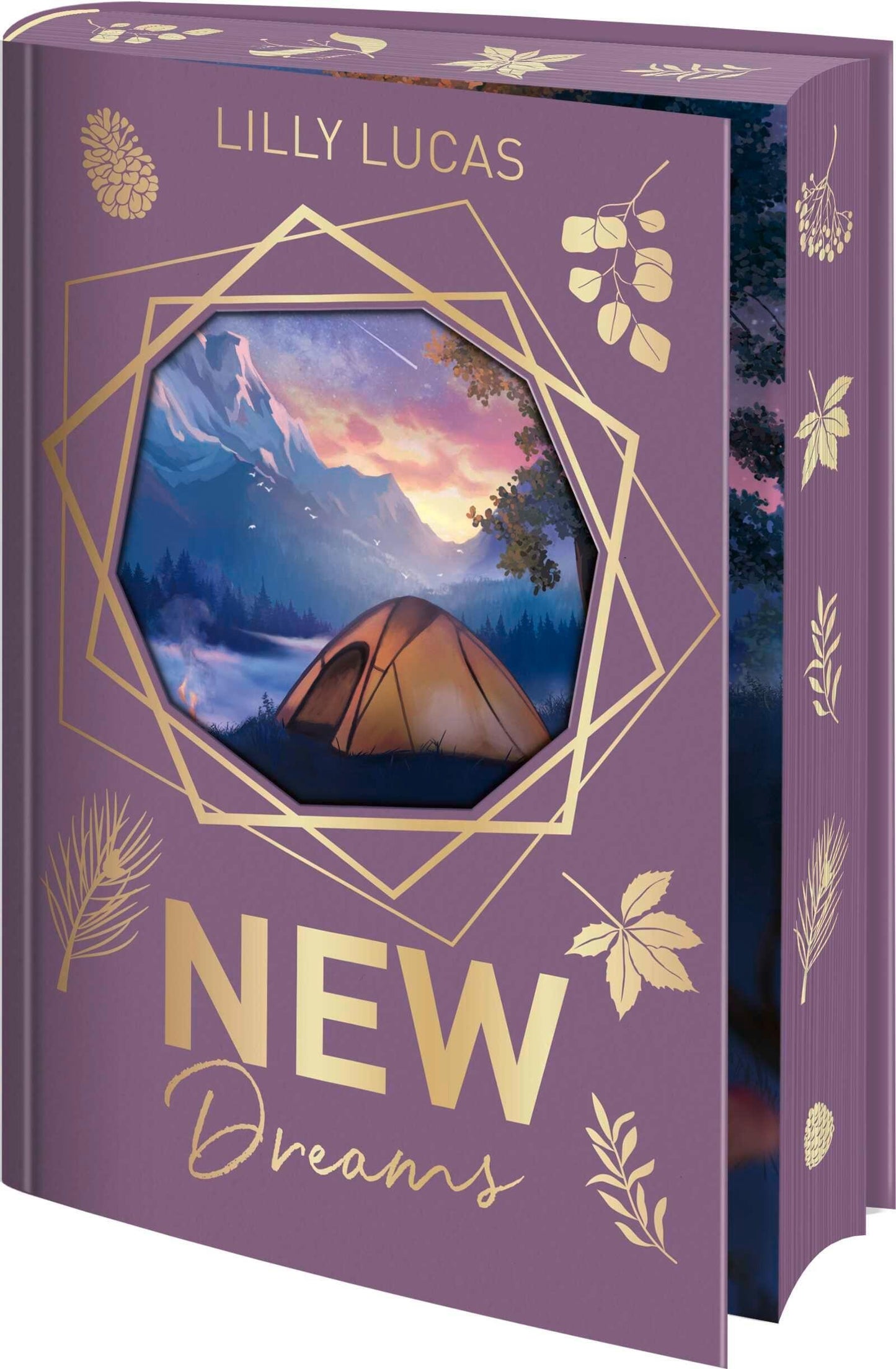 New Dreams: Roman | Zauberhafte Schmuckausgabe mit Farbschnitt, Bonuskapitel und weiteren liebevollen Überraschungen (Green Valley Love, Band 3)