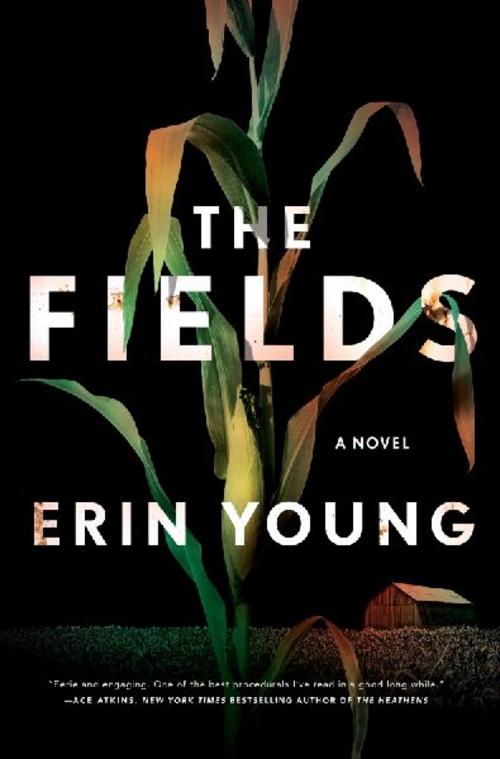 Buchcover: Fields