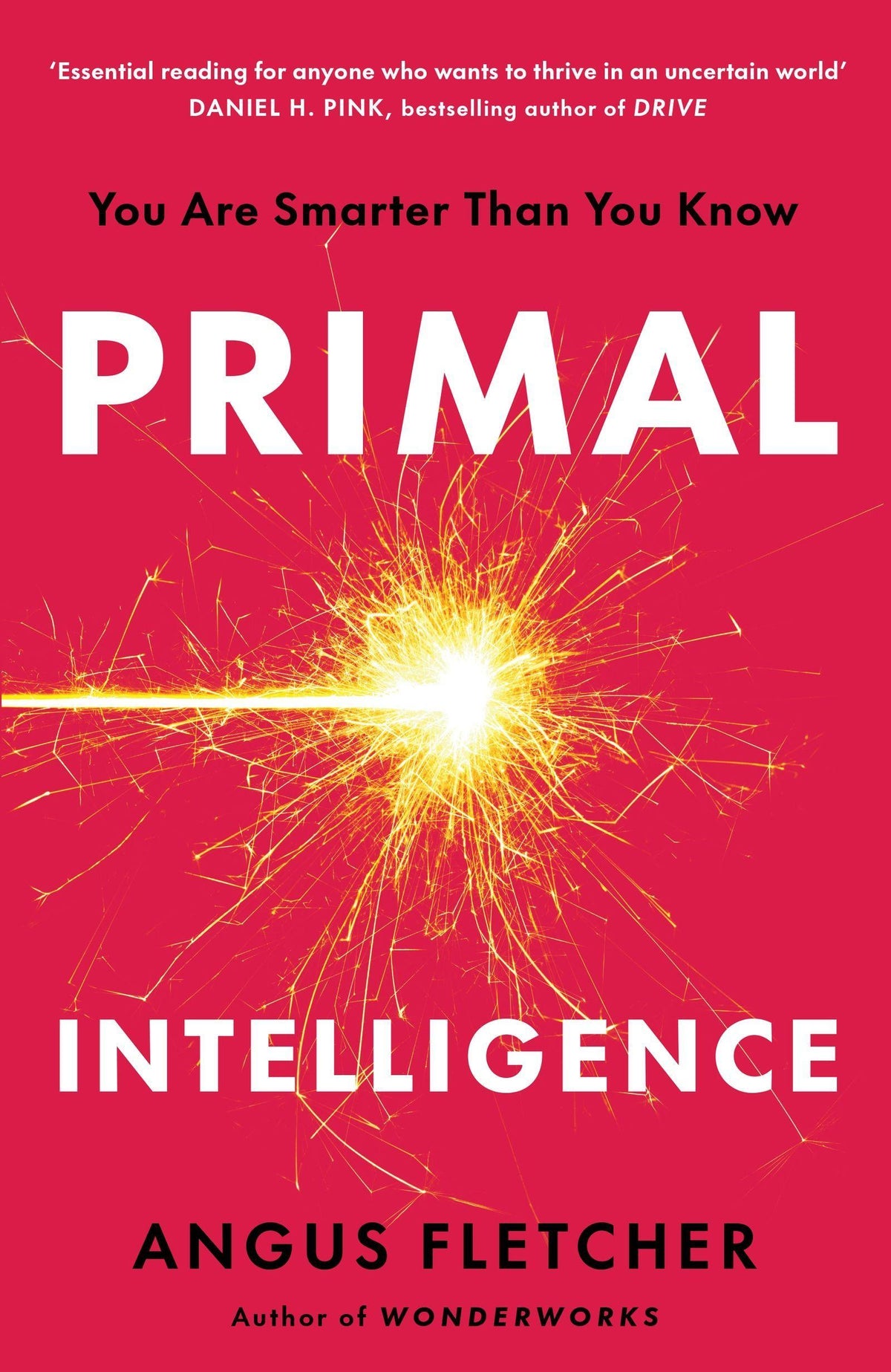 Buchcover: Primal Intelligence