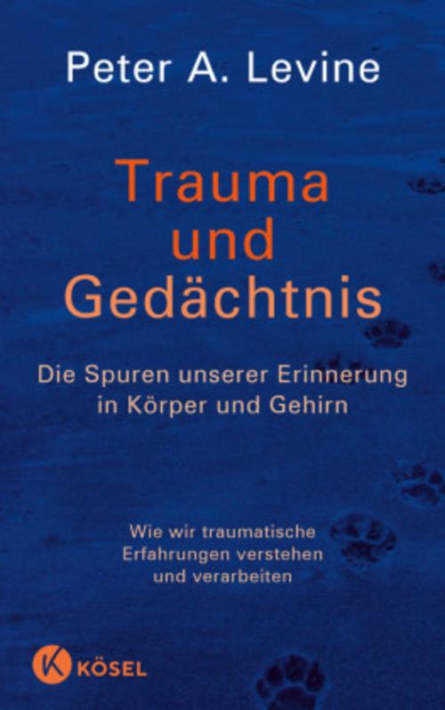 Trauma und Gedächtnis