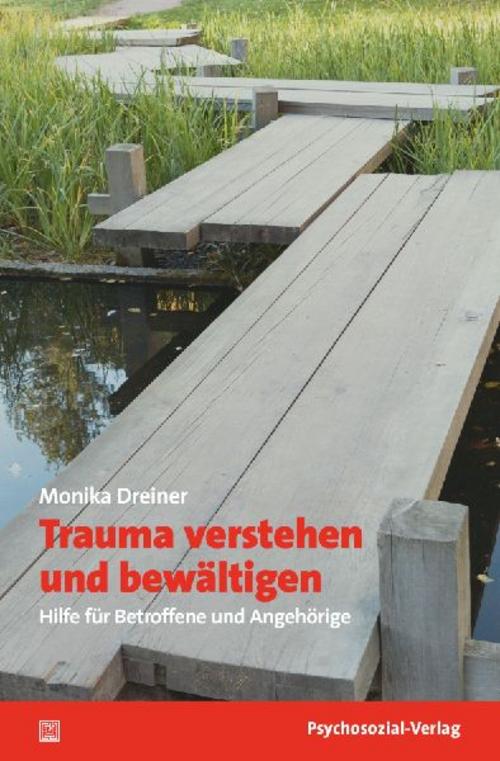 Buchcover: Trauma verstehen und bewältigen