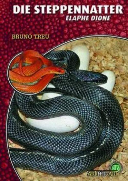 Buchcover: Die Steppennatter