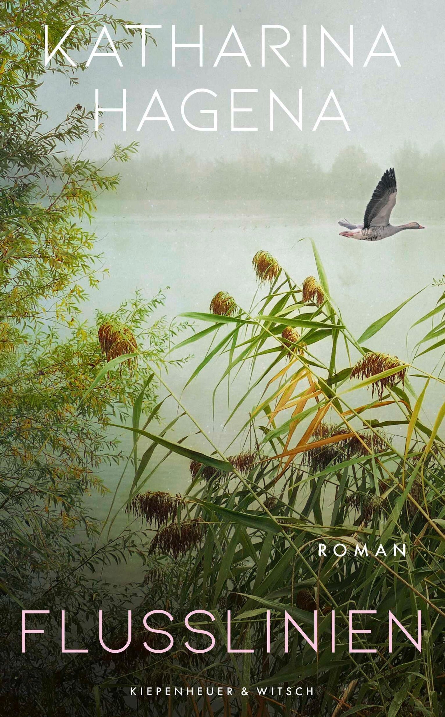 Flusslinien: Roman
