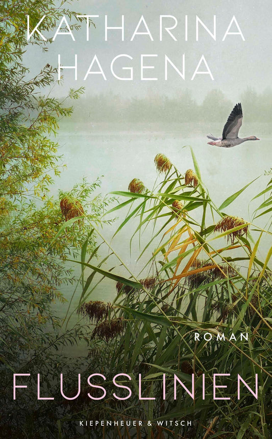 Flusslinien: Roman