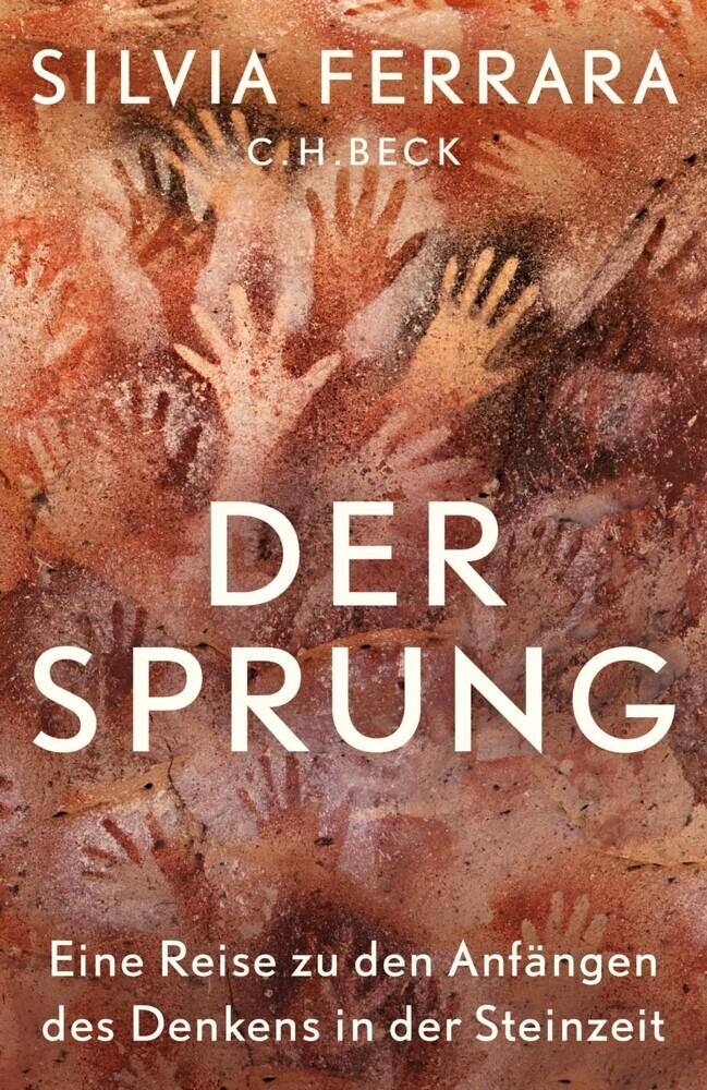 Buchcover: Der Sprung