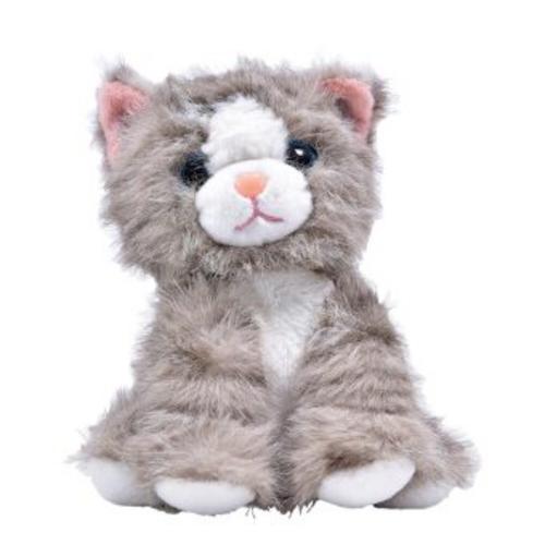 Laber Katze