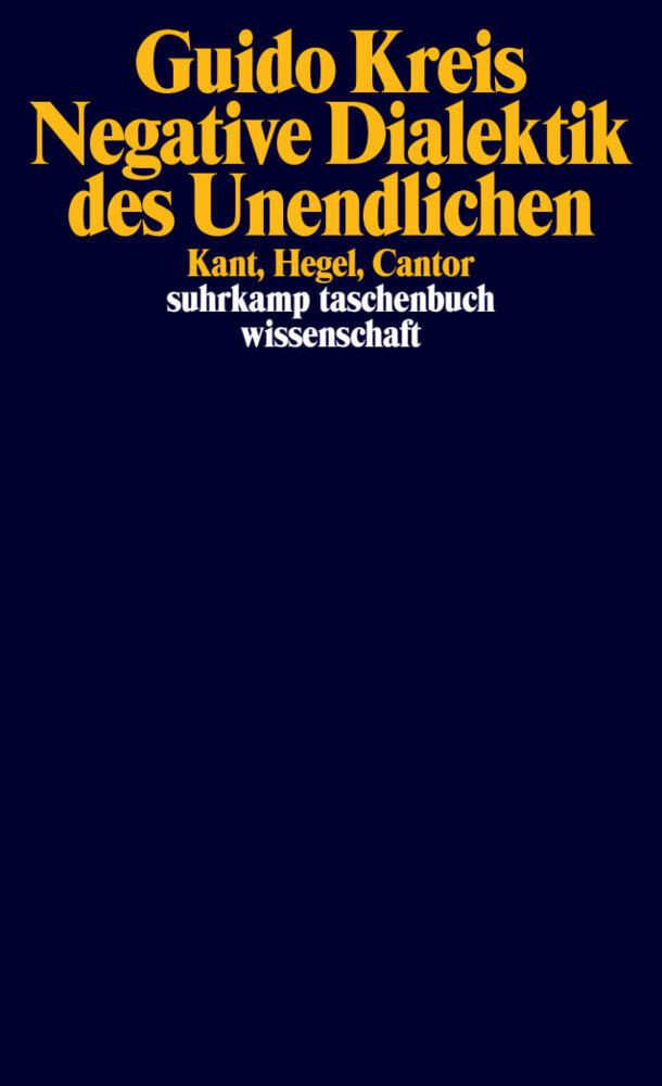 Buchcover: Negative Dialektik des Unendlichen