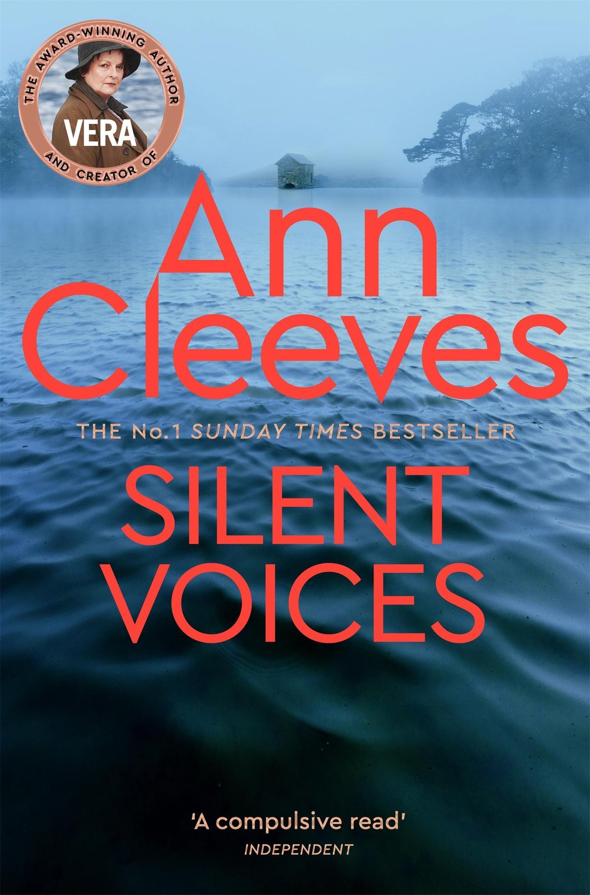 Buchcover: Silent Voices