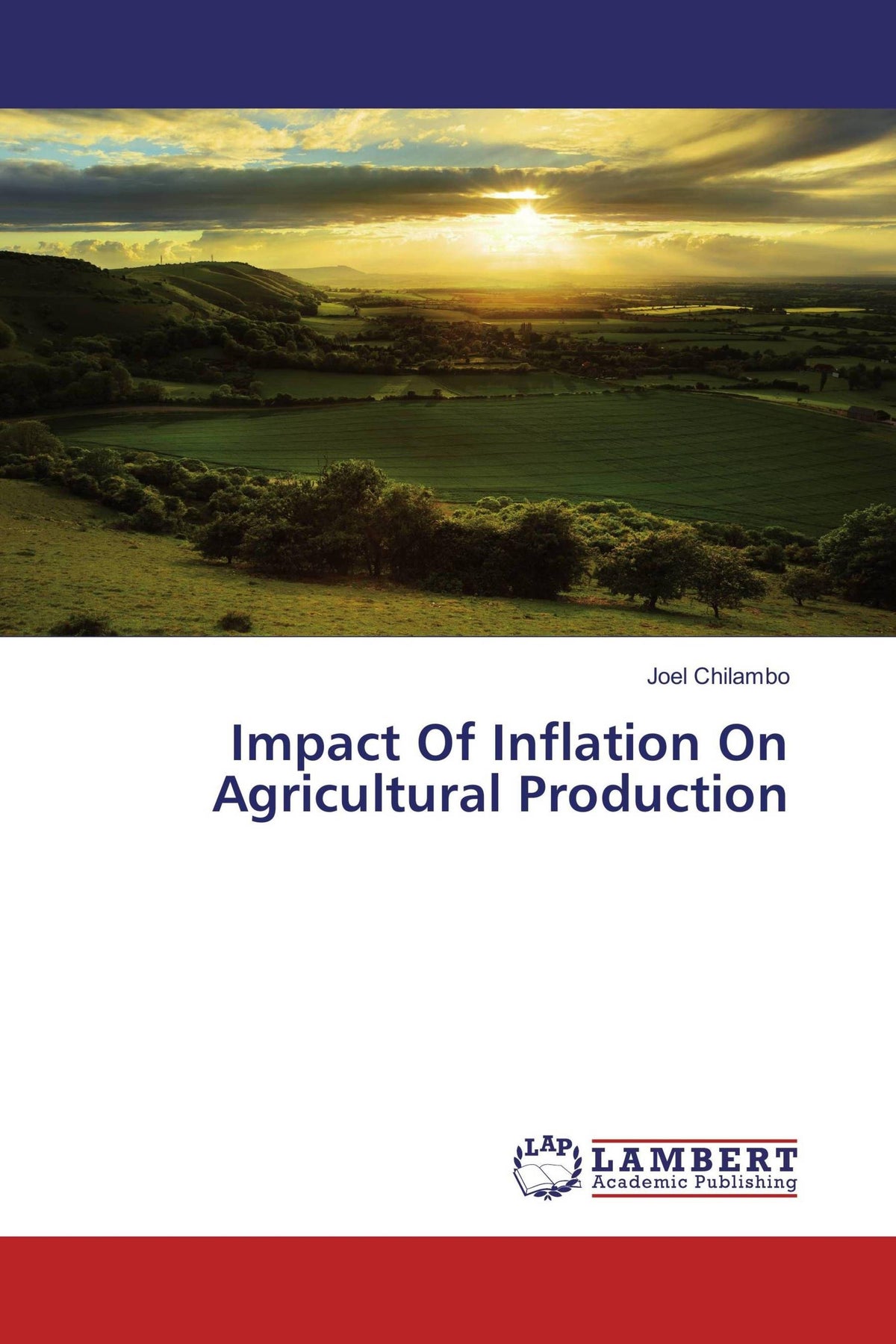 Buchcover: Impact Of Inflation On Agricultural Production