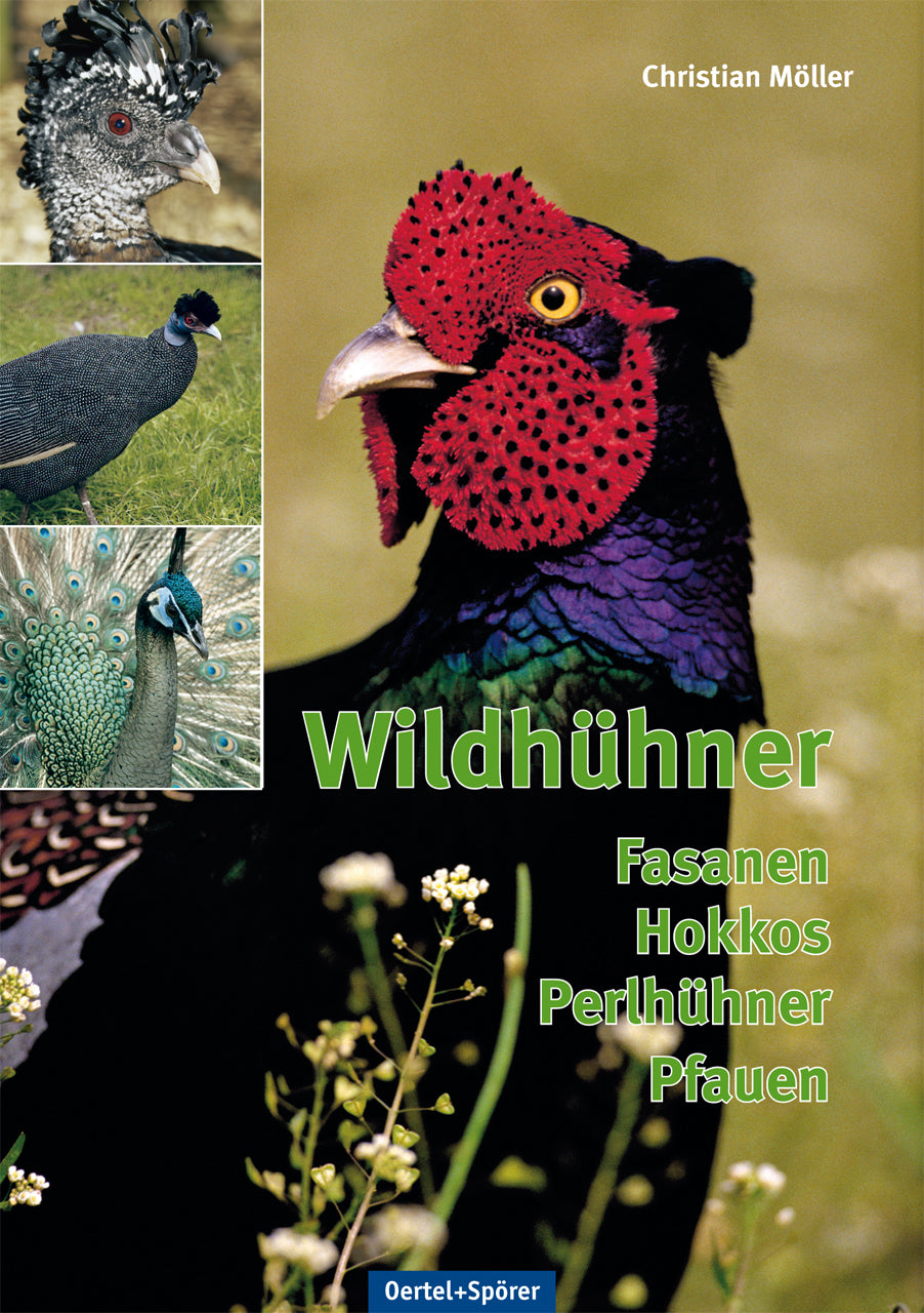 Buchcover: Wildhühner