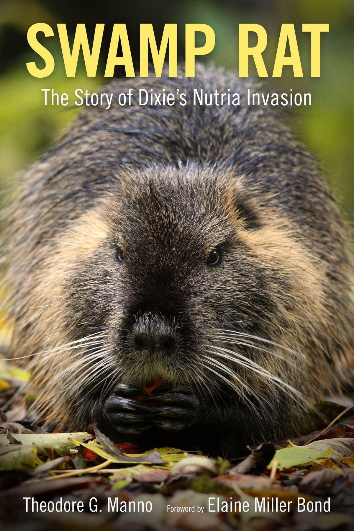 Buchcover: Swamp Rat