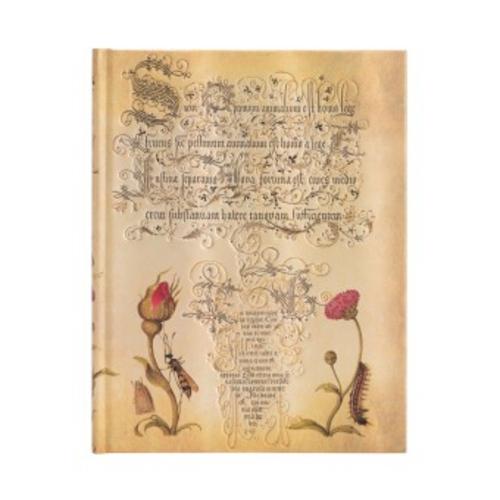 Notizbuch Flämische Rose Ultra Liniert