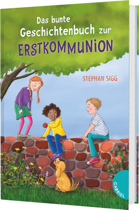 Sigg, Stephan/Das bunte Geschichtenbuch zur Erstkommunion
