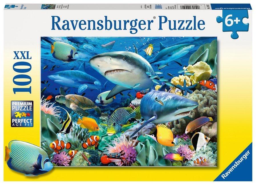 Buchcover: Riff der Haie
