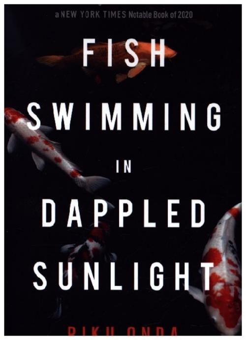 Fish Swimming in Dappled Sunlight