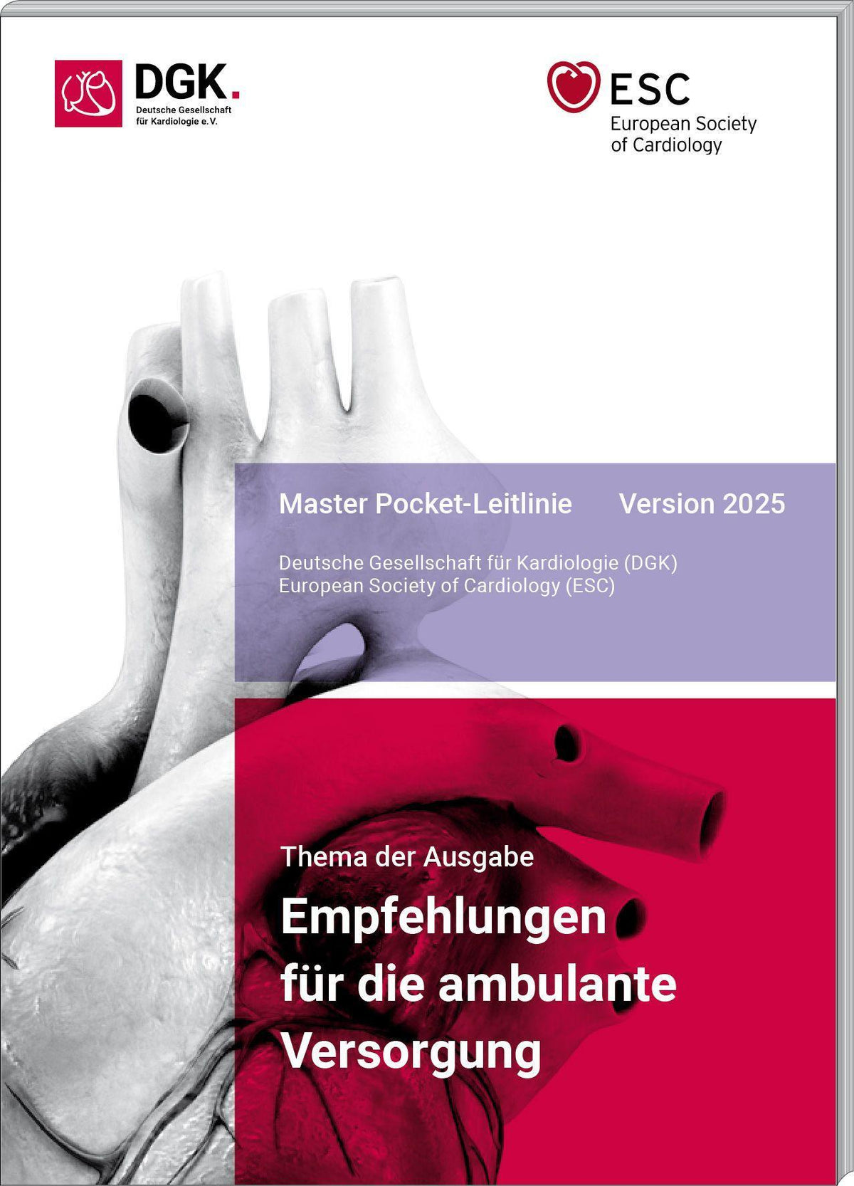 Buchcover: Empfehlungen für die ambulante Versorgung