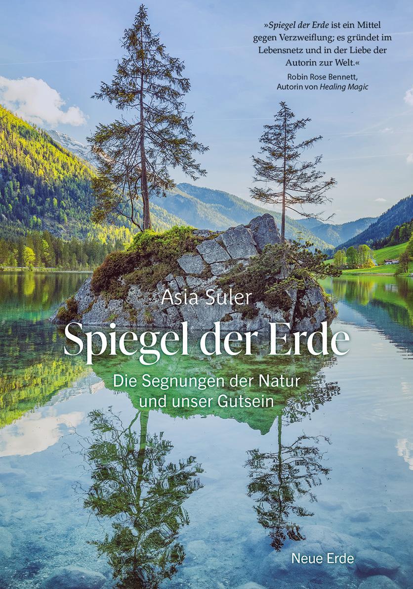 Buchcover: Spiegel der Erde