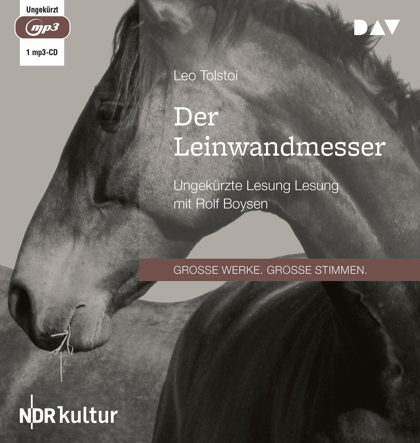 Der Leinwandmesser,1 Audio-CD, 1 MP3