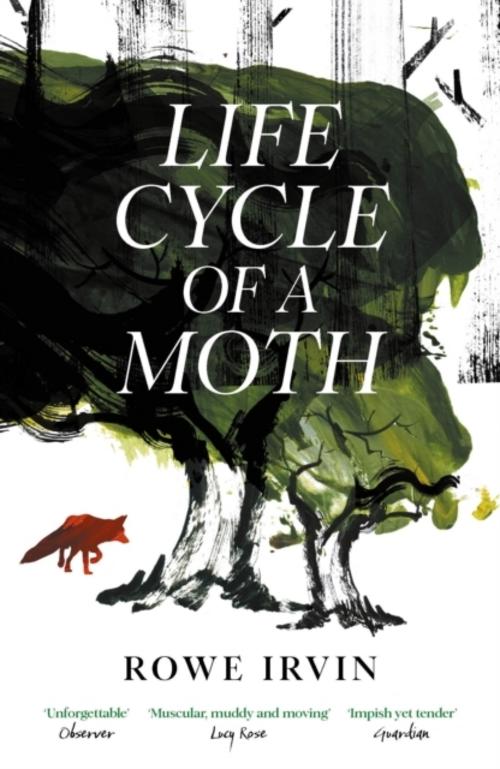 Buchcover: Life Cycle of a Moth